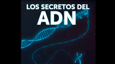 ADN